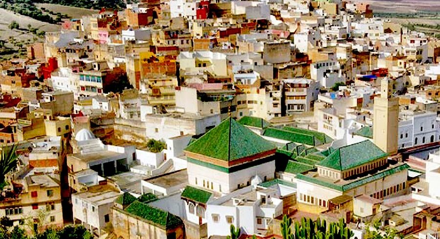 Day trip From Fes to Moulay Idriss