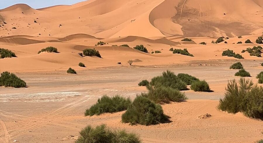 Fes private tour 3 days to Merzouga desert